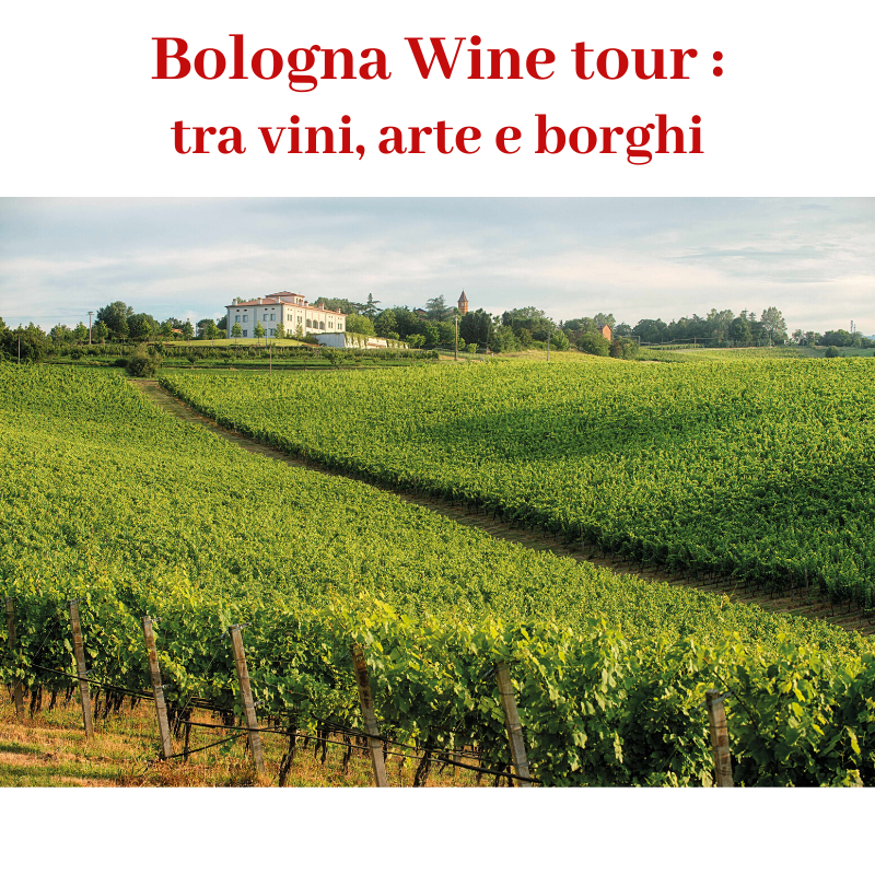 wine tour bologna